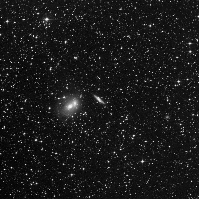 NGC2295